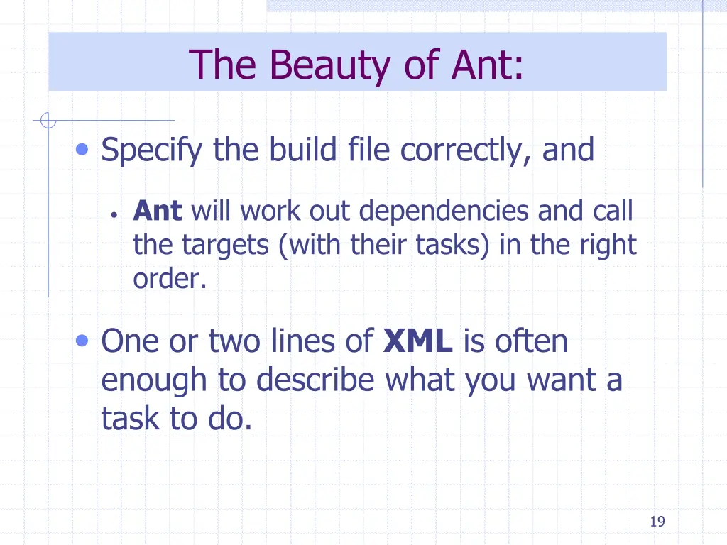 the beauty of ant