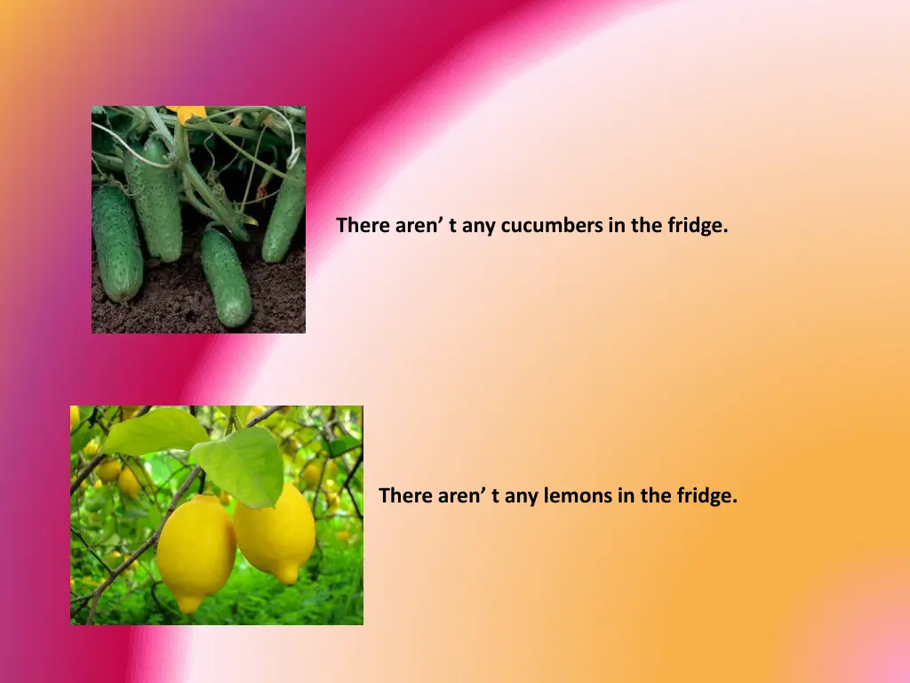 there aren t any cucumbers in the fridge
