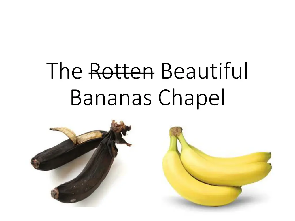 the rotten beautiful bananas chapel