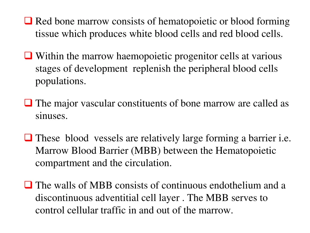 red bone marrow consists of hematopoietic