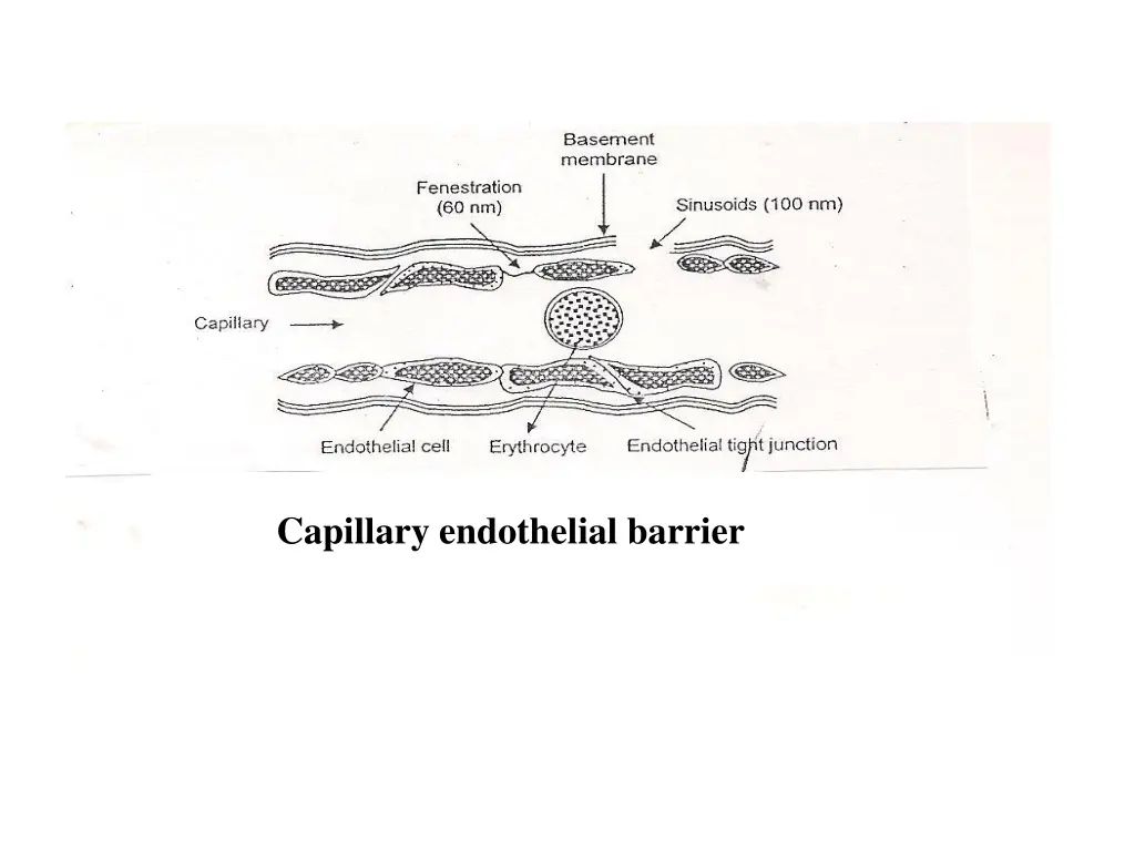 slide11