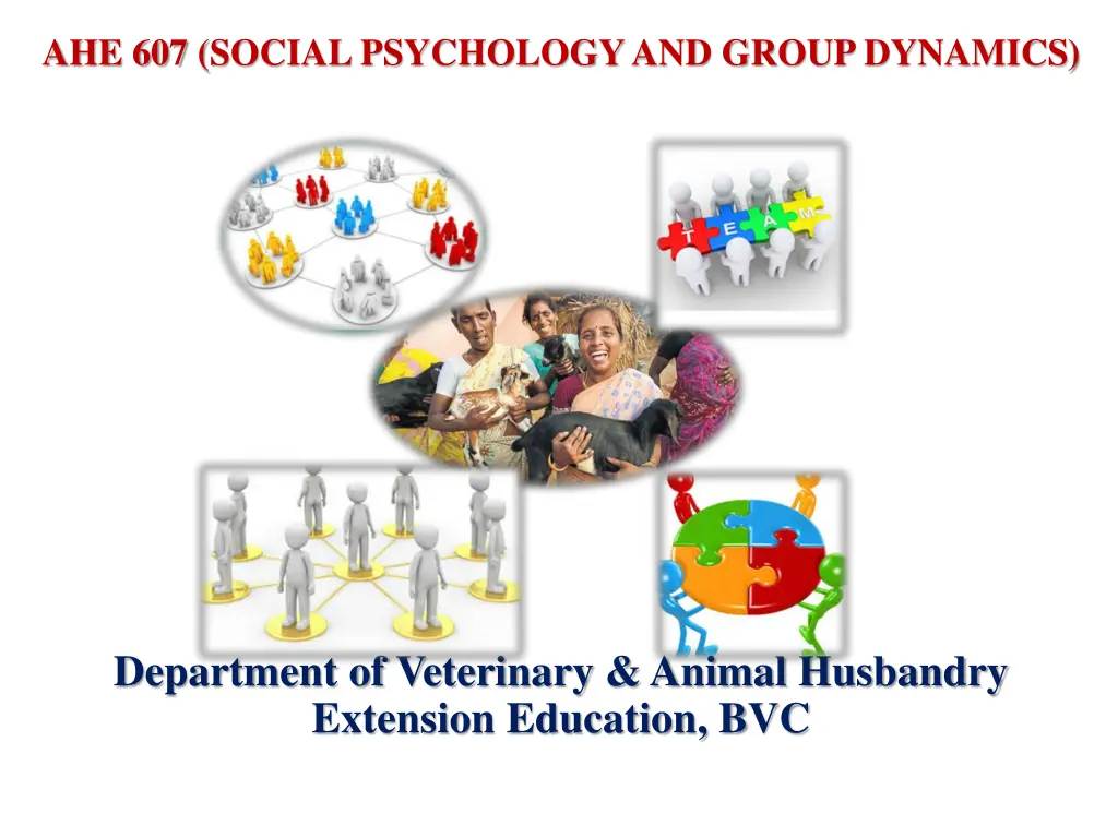 ahe 607 social psychology and group dynamics
