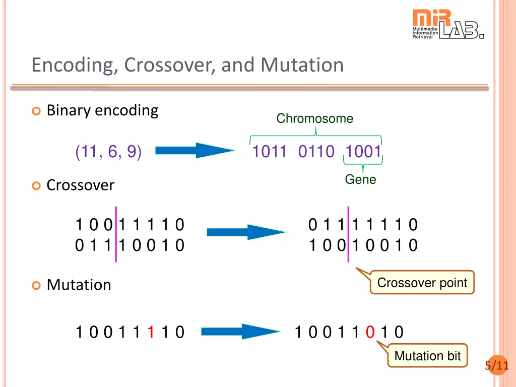 encoding crossover and mutation