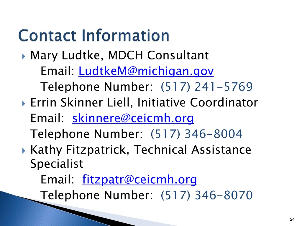 mary ludtke mdch consultant email