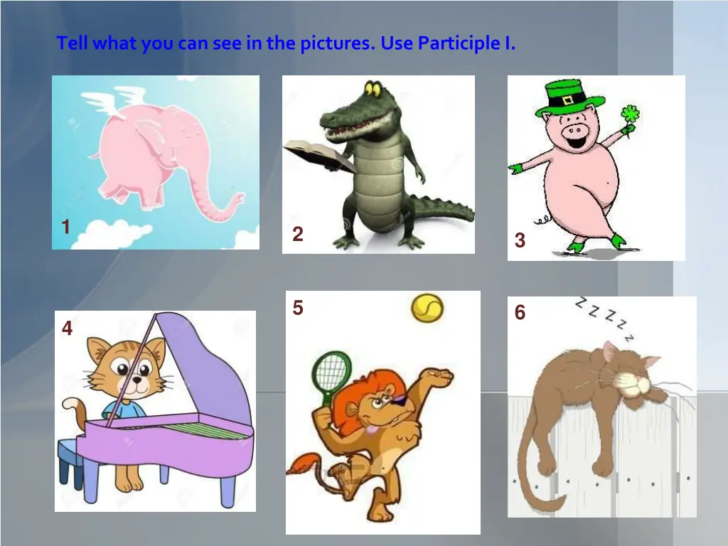 tell what you can see in the pictures