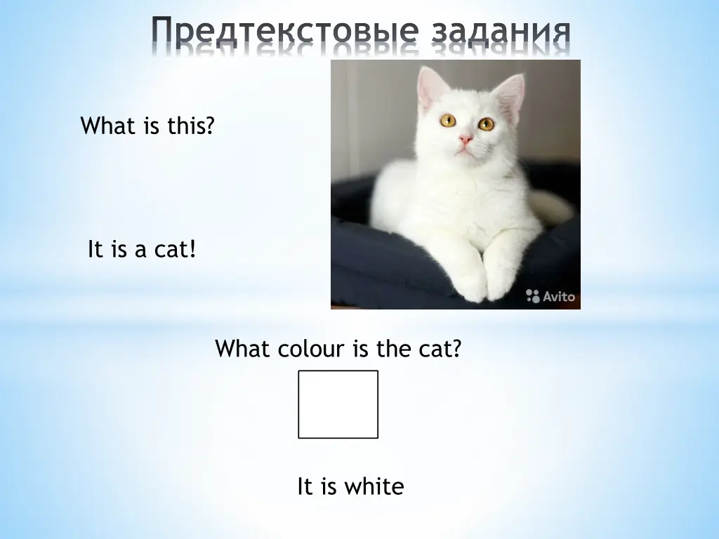 slide4
