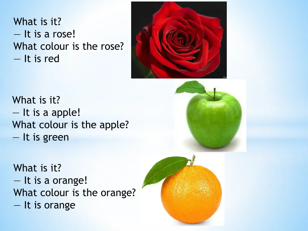 what is it it is a rose what colour is the rose