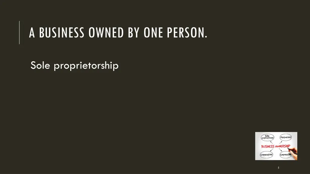 a business owned by one person
