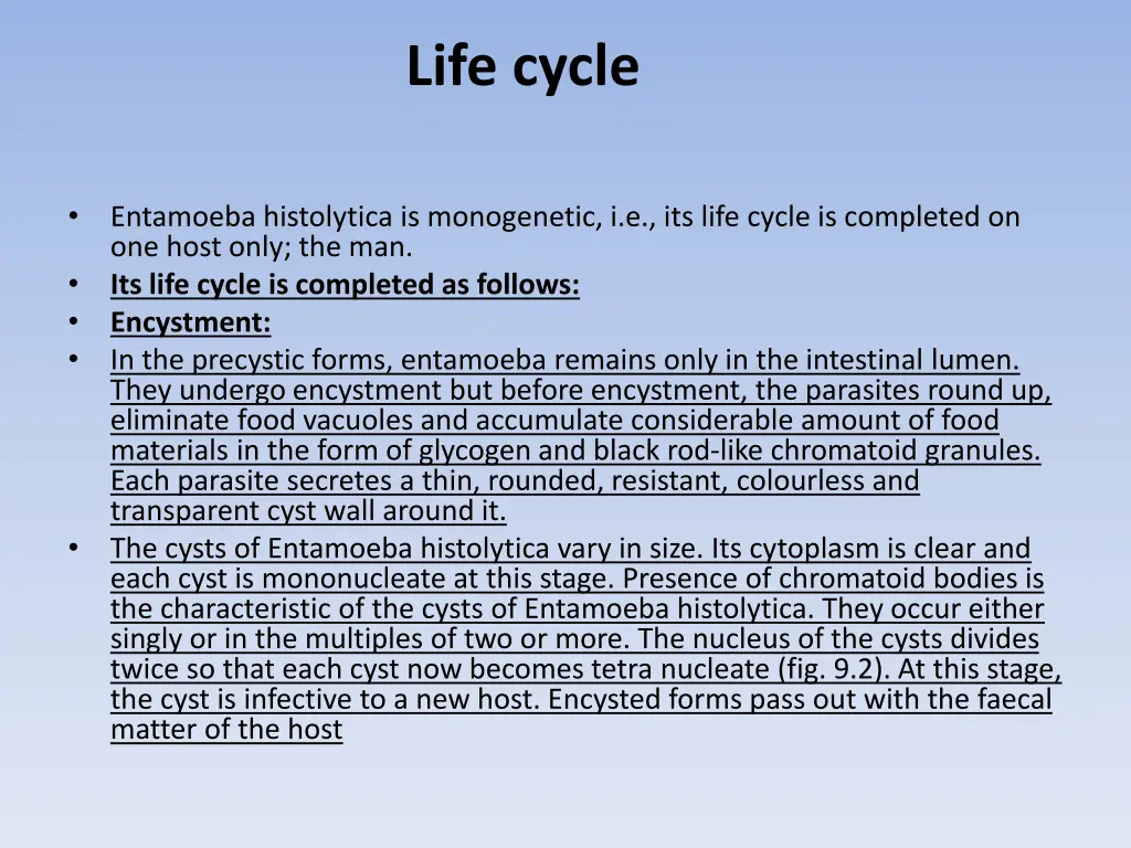 life cycle
