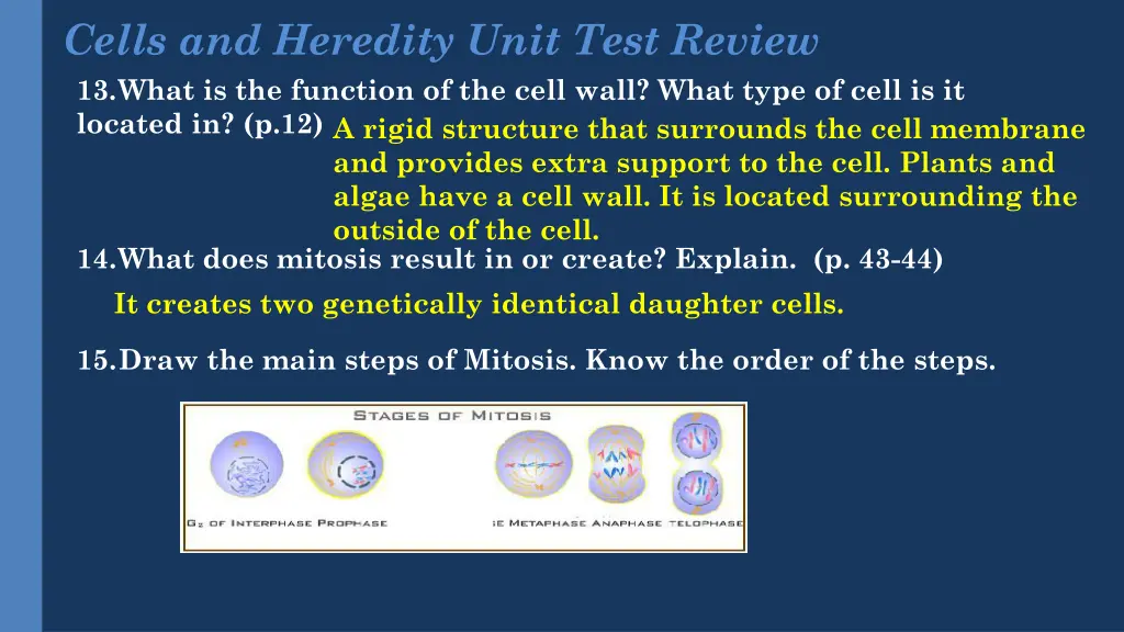 cells and heredity unit test review 13 what