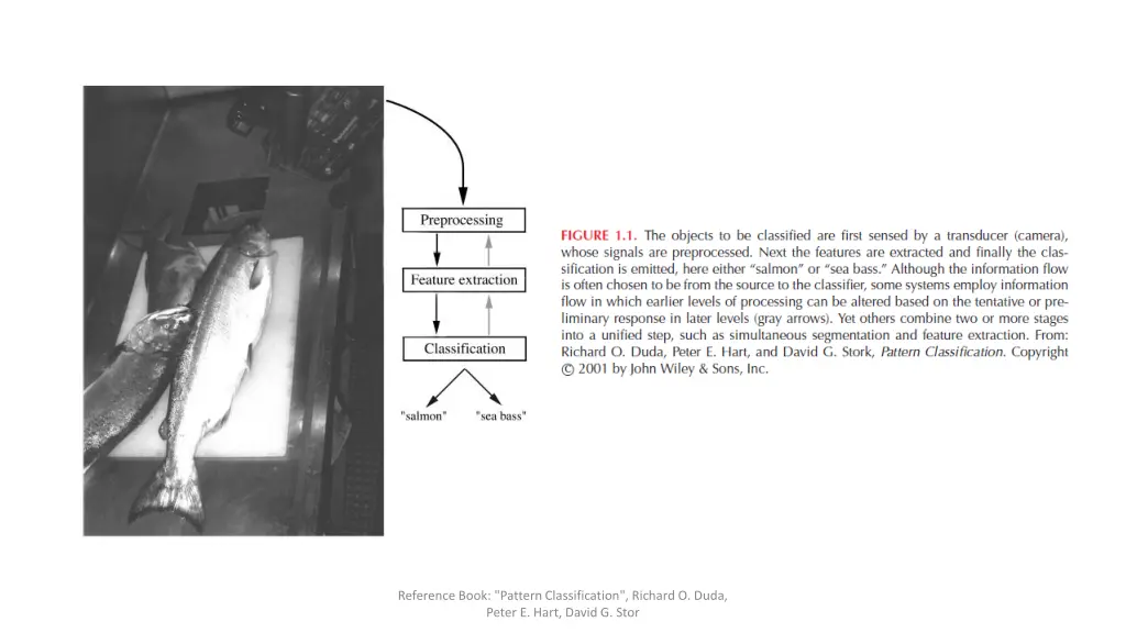 reference book pattern classification richard