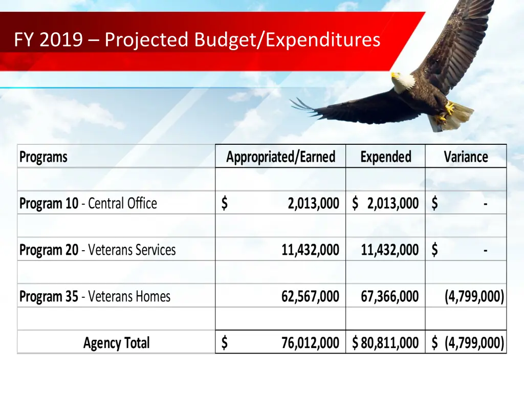 fy 2019 projected budget expenditures