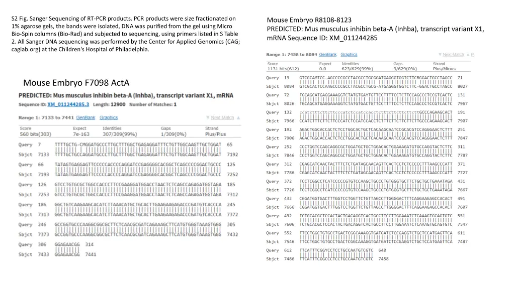 s2 fig sanger sequencing of rt pcr products