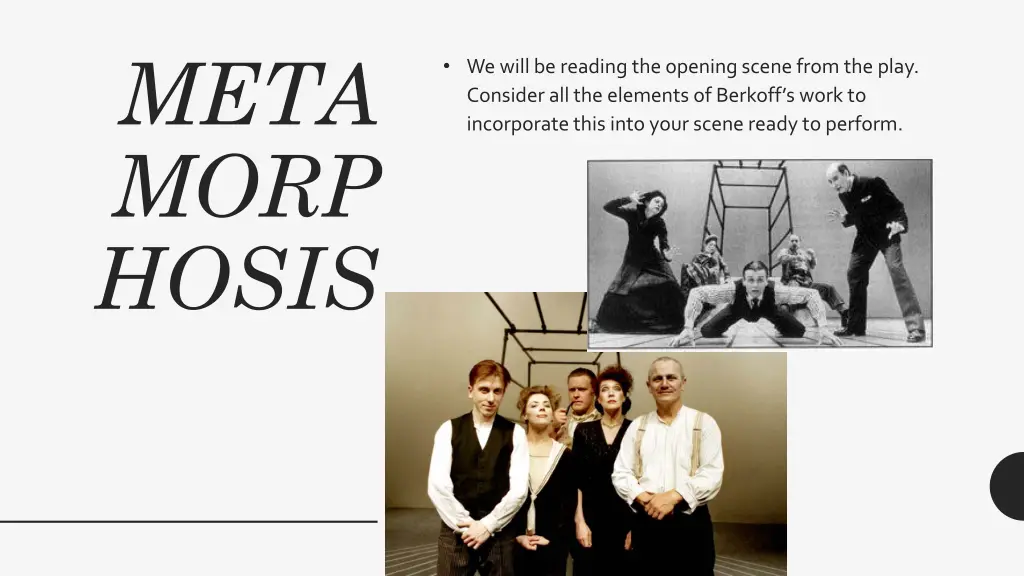 meta morp hosis