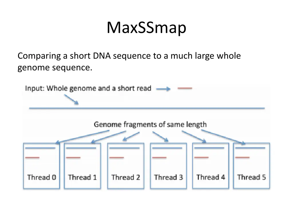 maxssmap