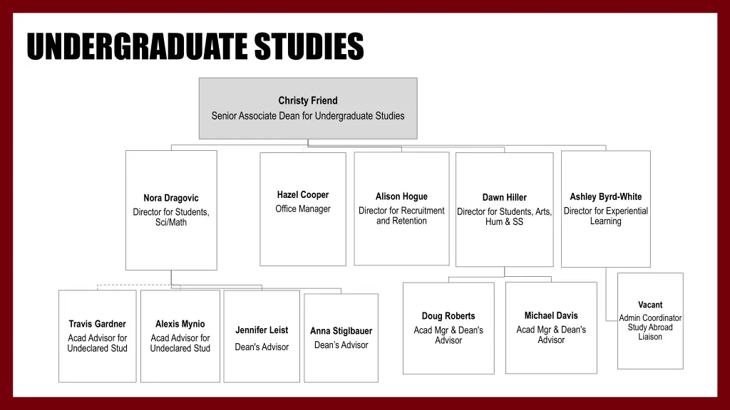undergraduate studies