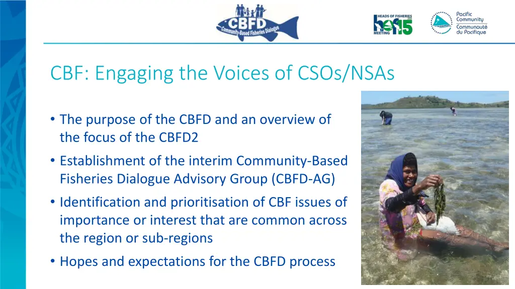 cbf engaging the voices of csos nsas