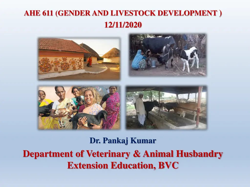 ahe 611 gender and livestock development