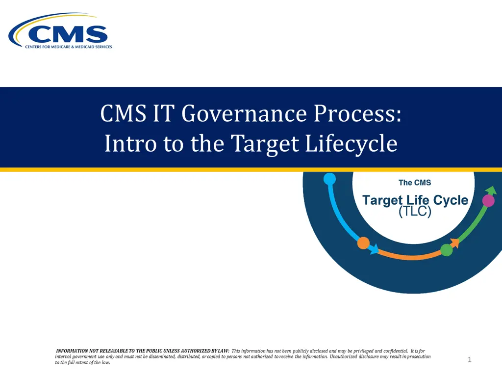 cms it governance process intro to the target