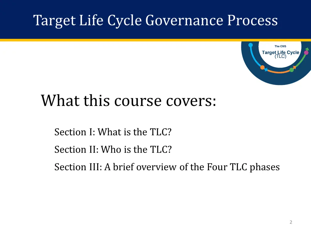 target life cycle governance process