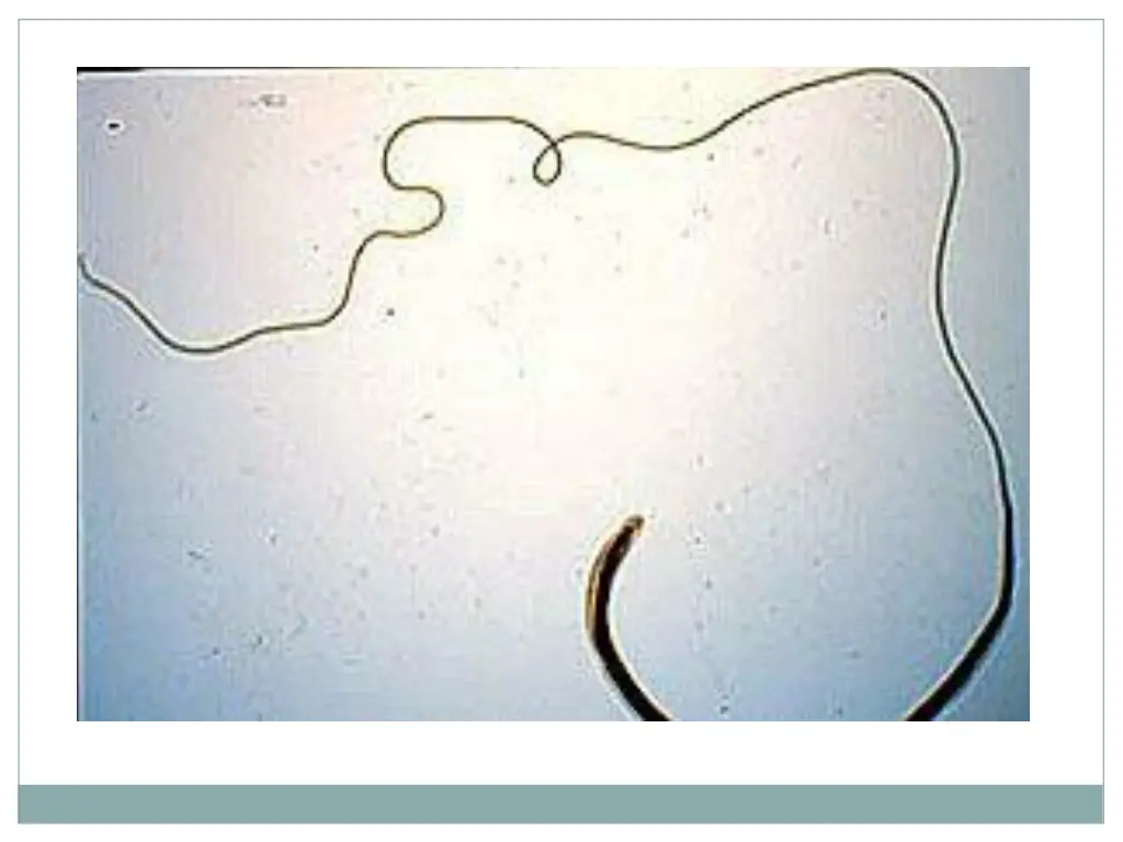 slide5