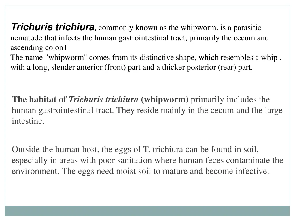 trichuris trichiura commonly known