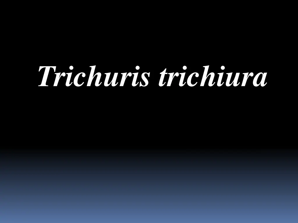 trichuris trichiura