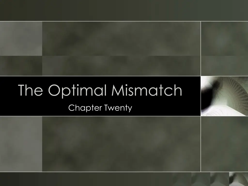 the optimal mismatch chapter twenty