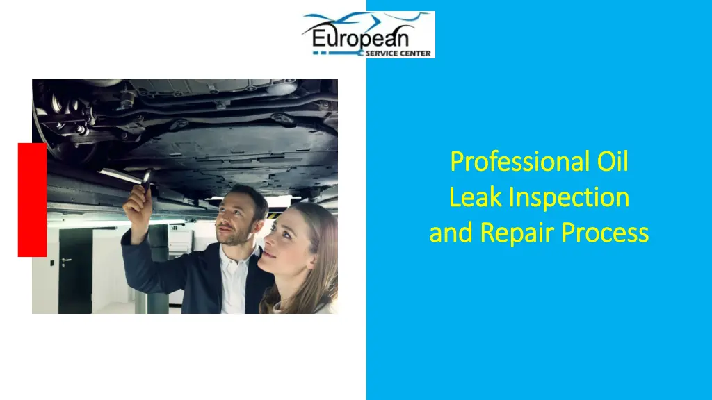 professional oil professional oil leak inspection