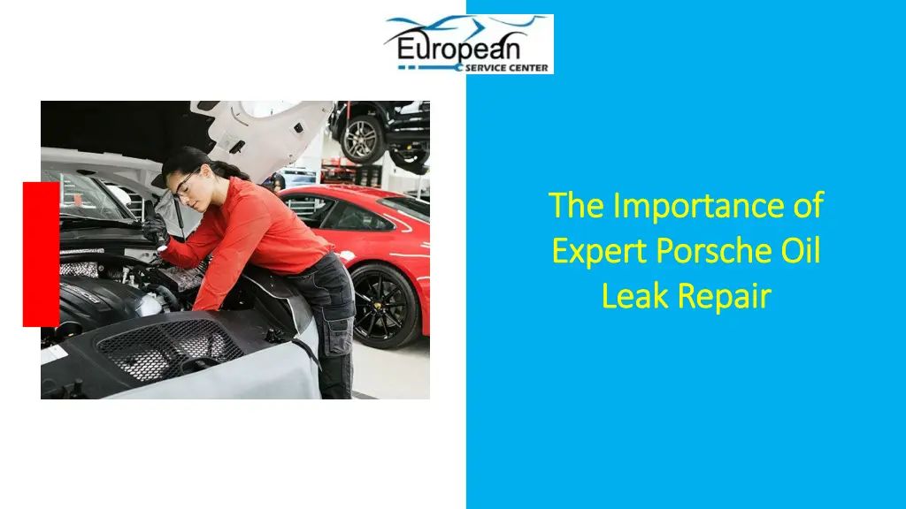 the importance of the importance of expert