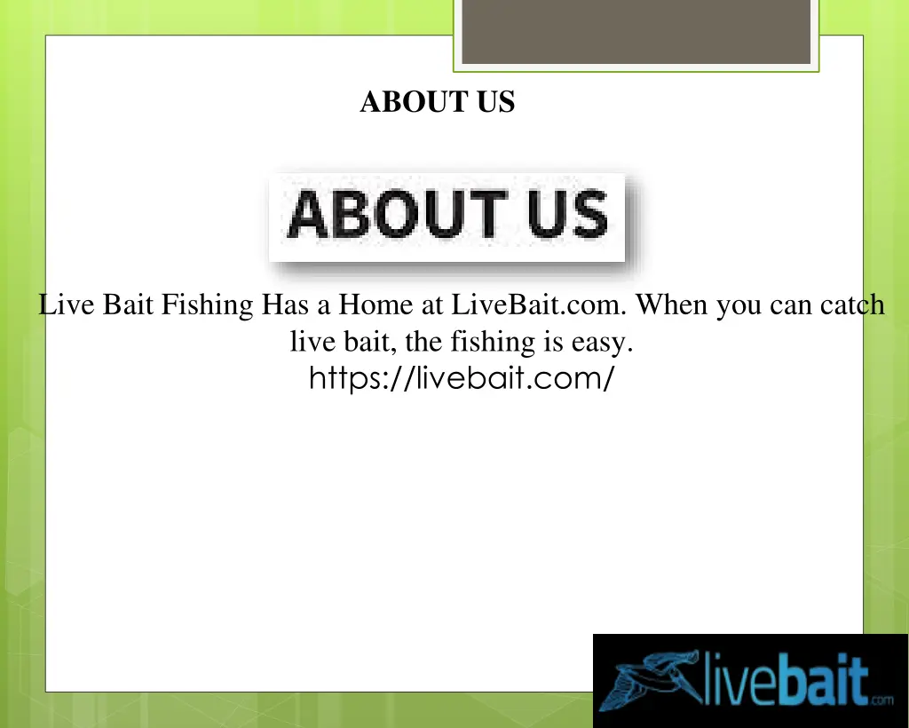 about us