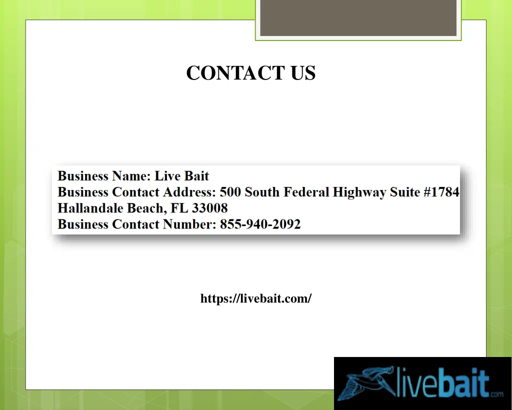 contact us