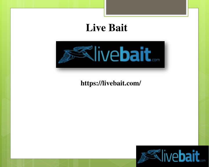 live bait