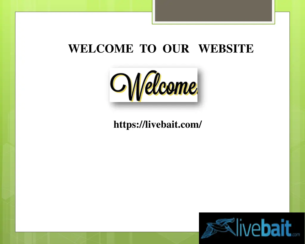 welcome to our website