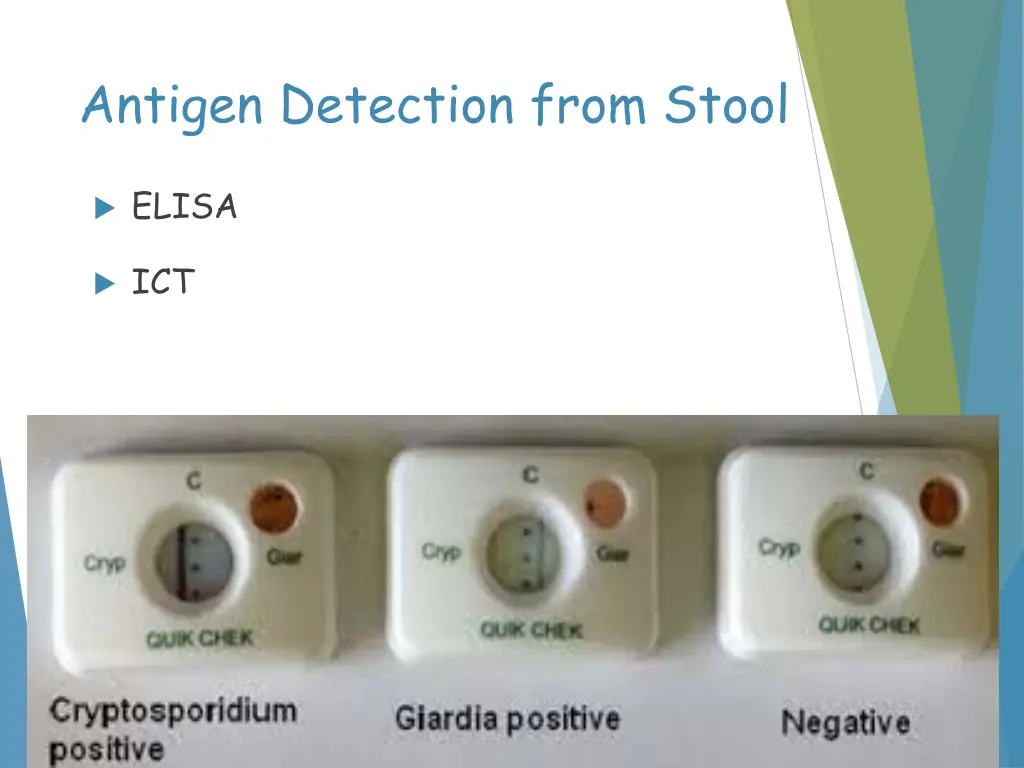 antigen detection from stool