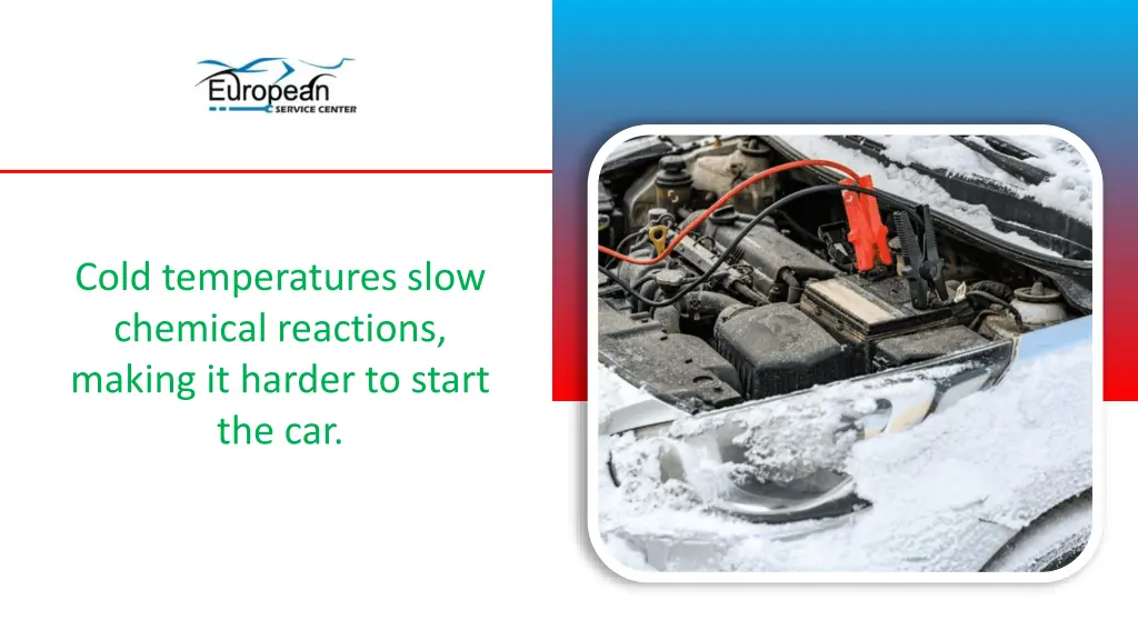 cold temperatures slow chemical reactions making