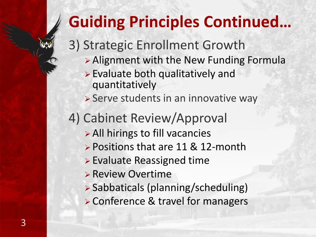 guiding principles continued