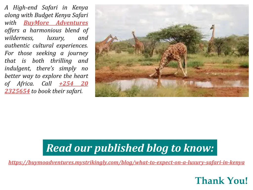a high end safari in kenya along with budget
