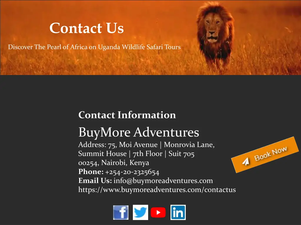 contact us