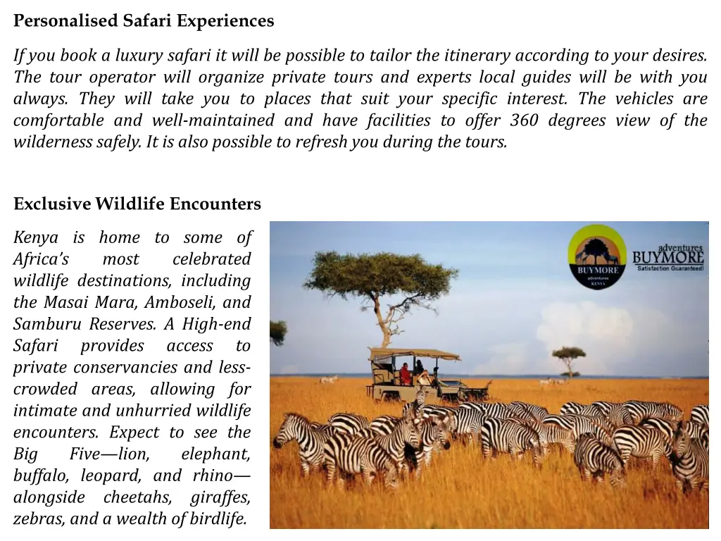 personalised safari experiences