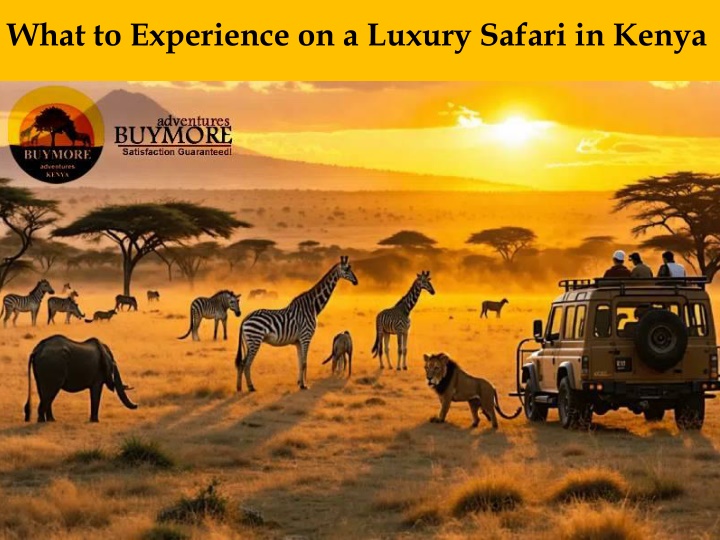 what to experience on a luxury safari in kenya