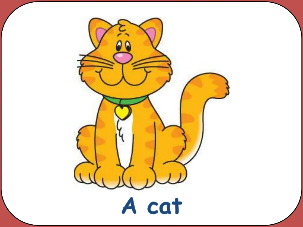 a cat