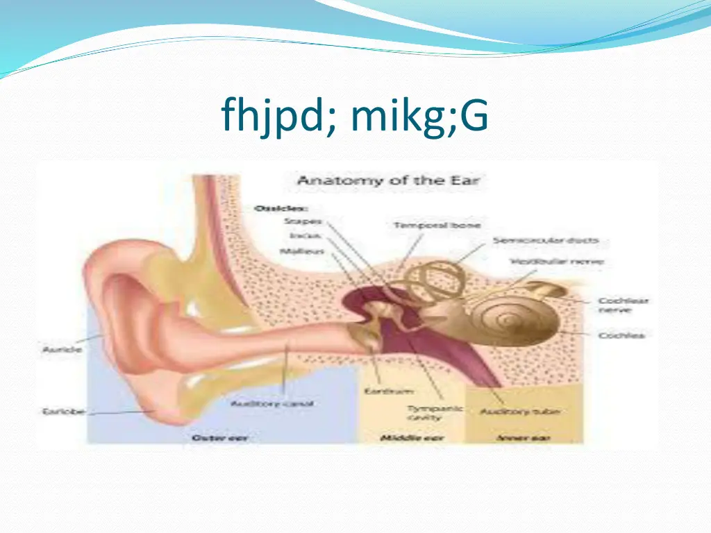 fhjpd mikg g