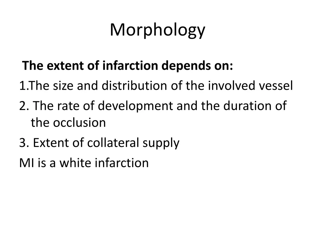 morphology