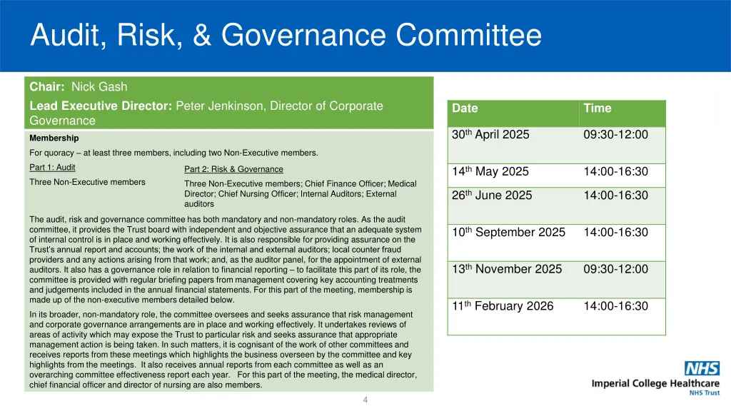 audit risk governance committee
