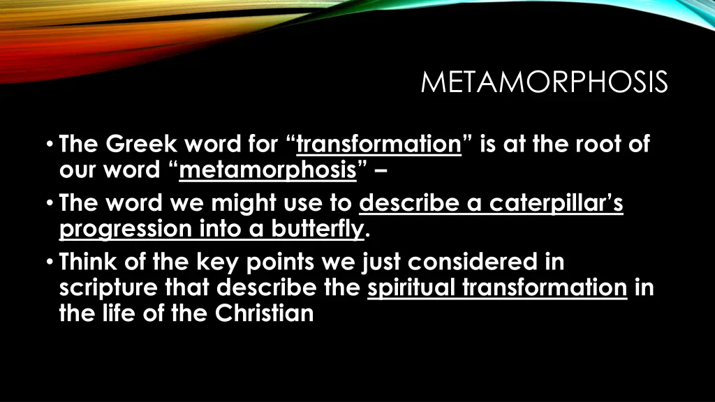 metamorphosis 1