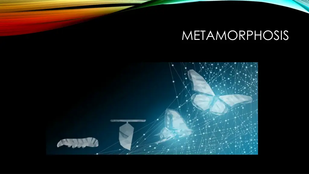 metamorphosis