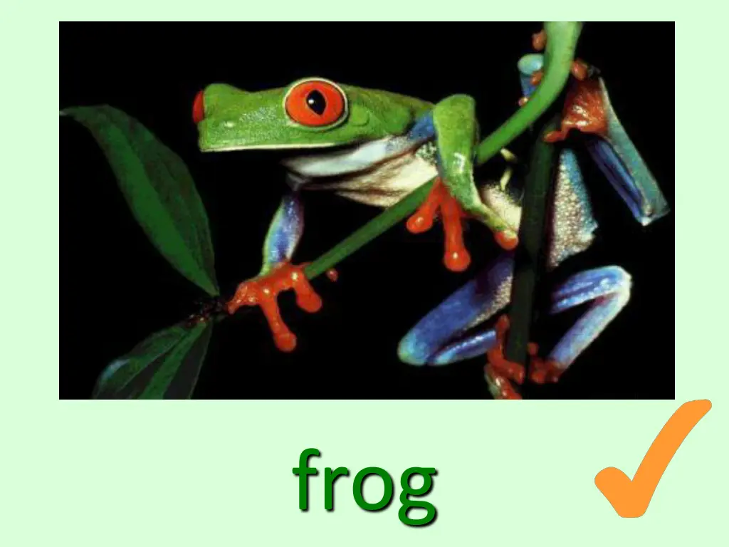 slide11