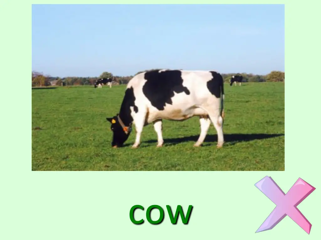 slide13