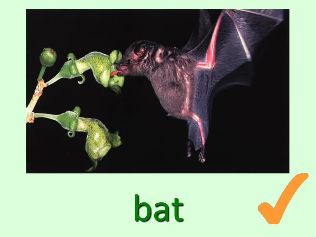 slide7